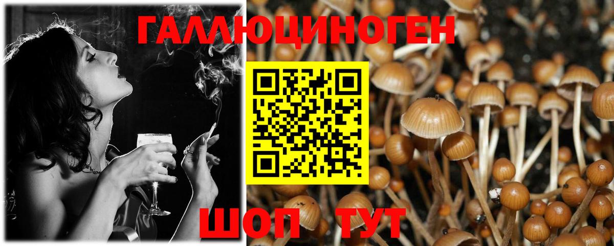 Псилоцибиновые грибы Psilocybine cubensis  Вход с VPN  Галлюциногенные грибы Magic Shrooms  Энгельс 